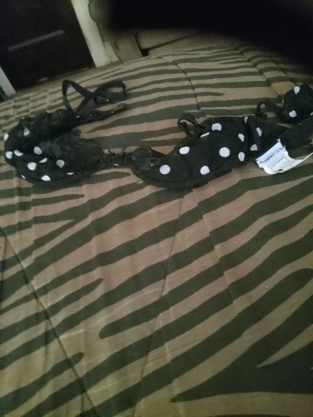 Dolce & Gabbana Black Polka Dot Lace Bra