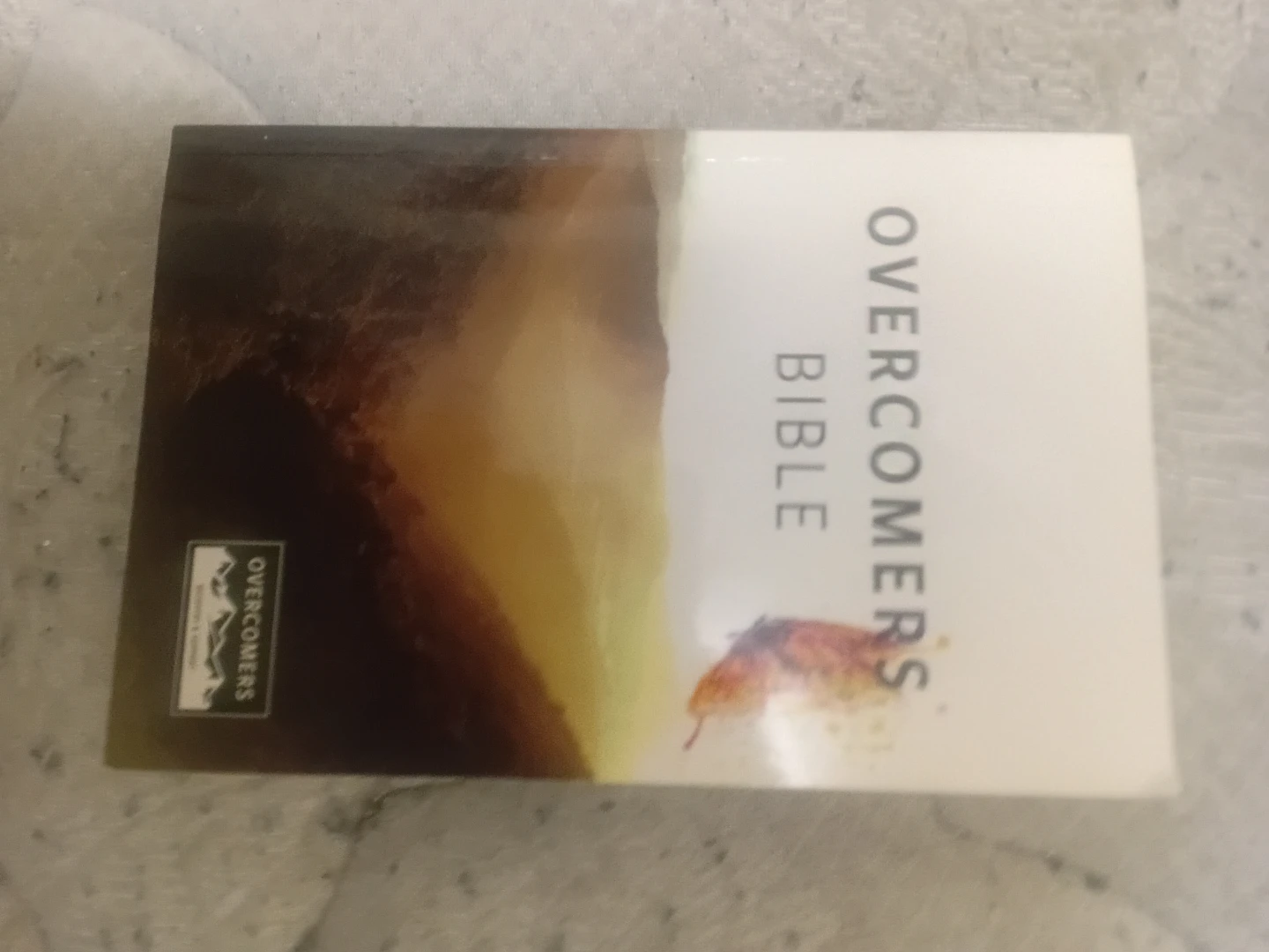 Overcomers Bible