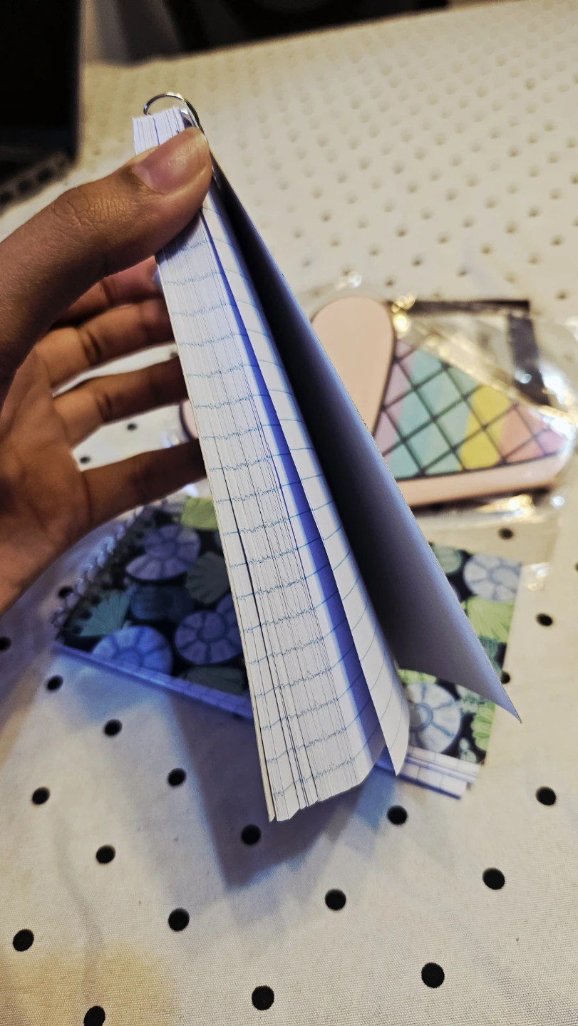 3 Mini Notebooks - photo 4