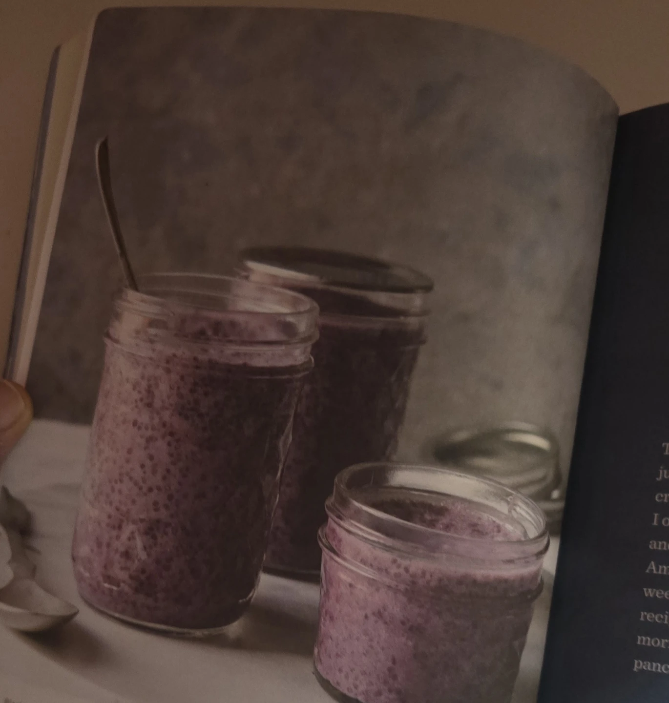 The Easy 5-Ingredient Ketogenic Diet Cookbook by Jen Fisch - photo 4
