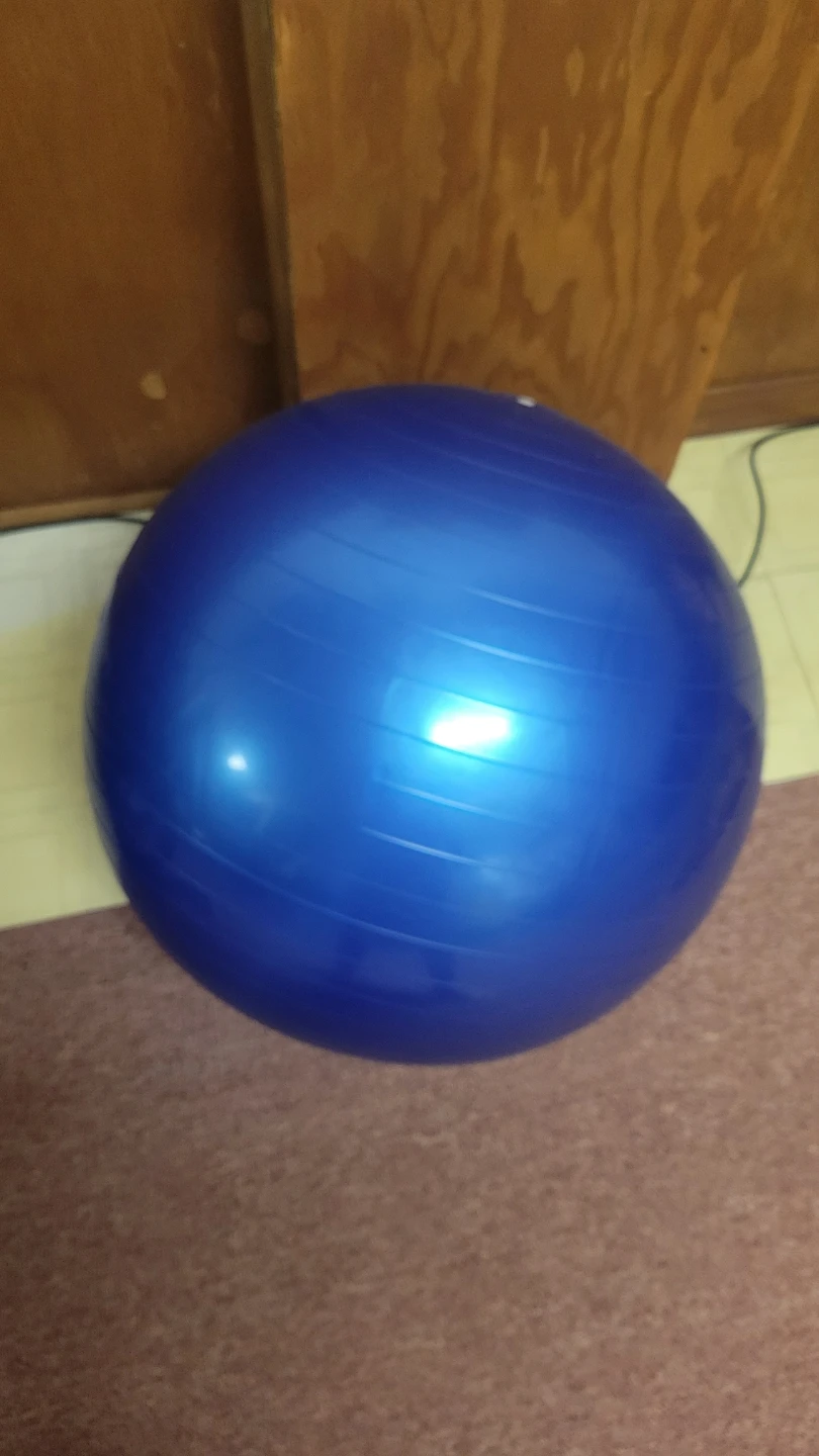 Fitness Essentials Blue Exercise Ball with Instructional DVD
