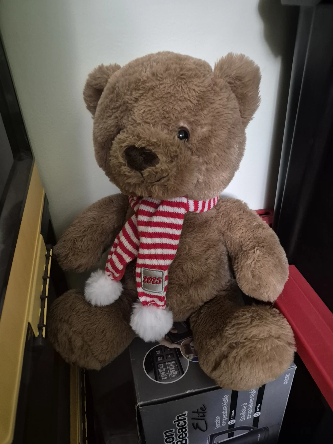 Brown Teddy Bear with "2025" Scarf - photo 5