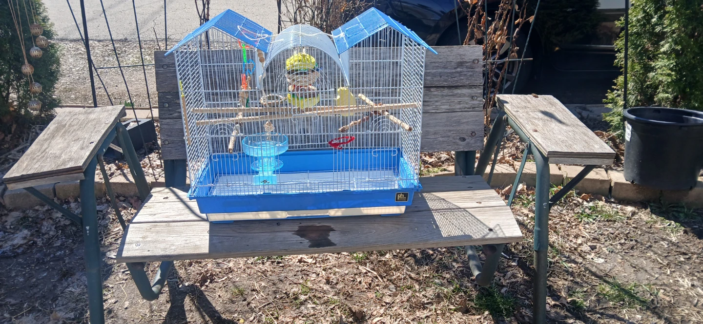 Blue Bird Cage with Accessories