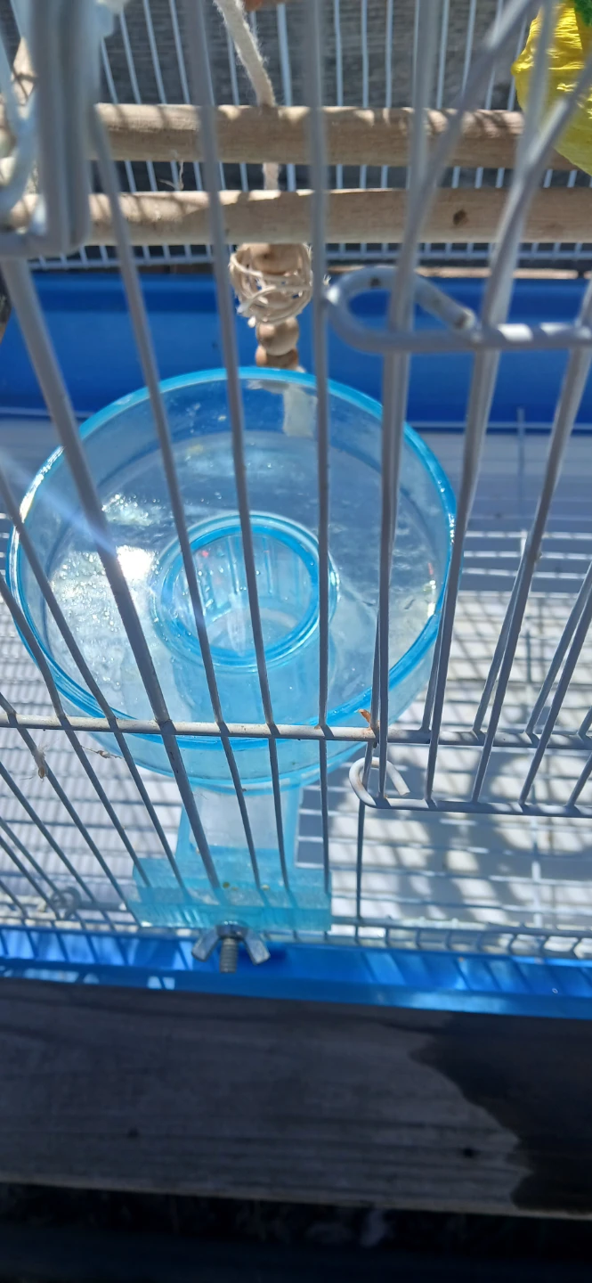Blue Bird Cage with Accessories - photo 2