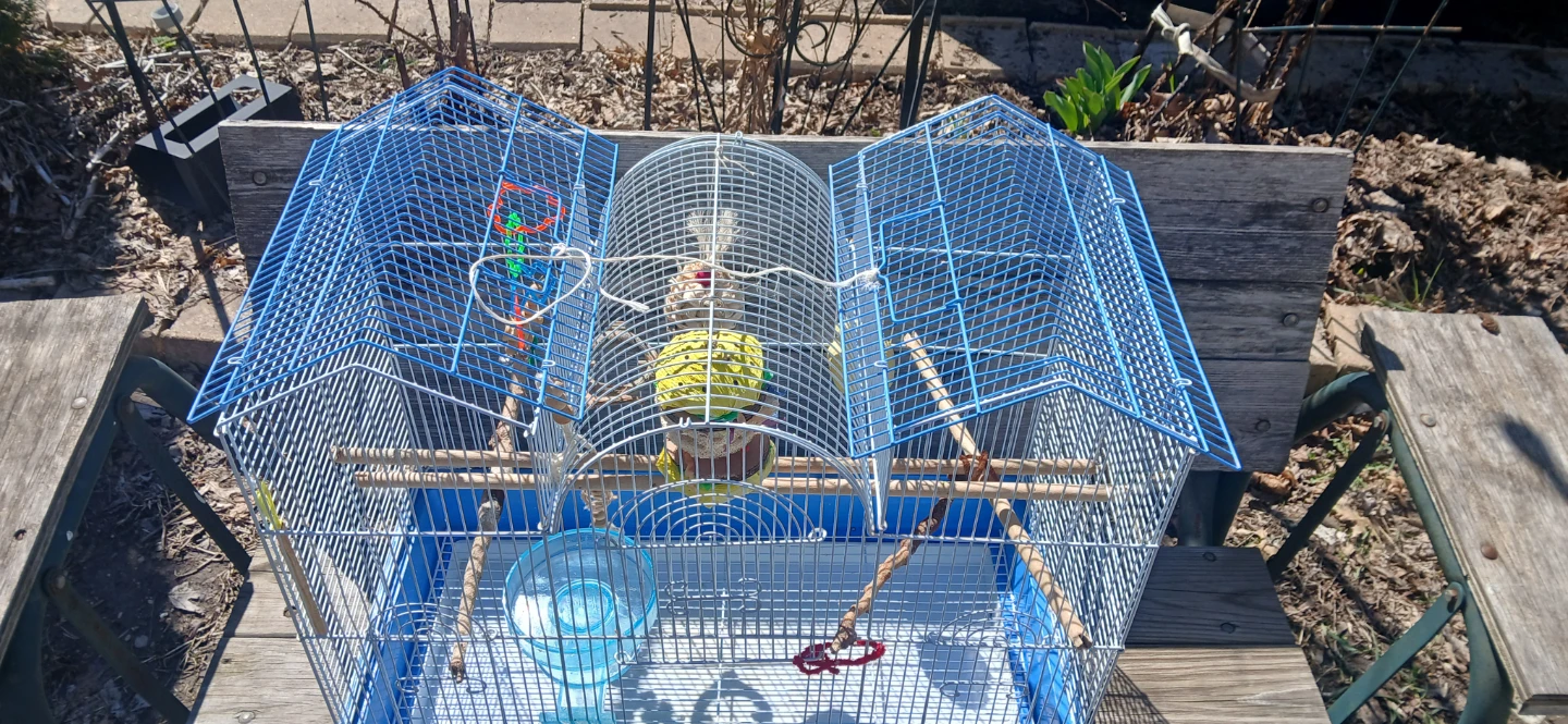 Blue Bird Cage with Accessories - photo 3