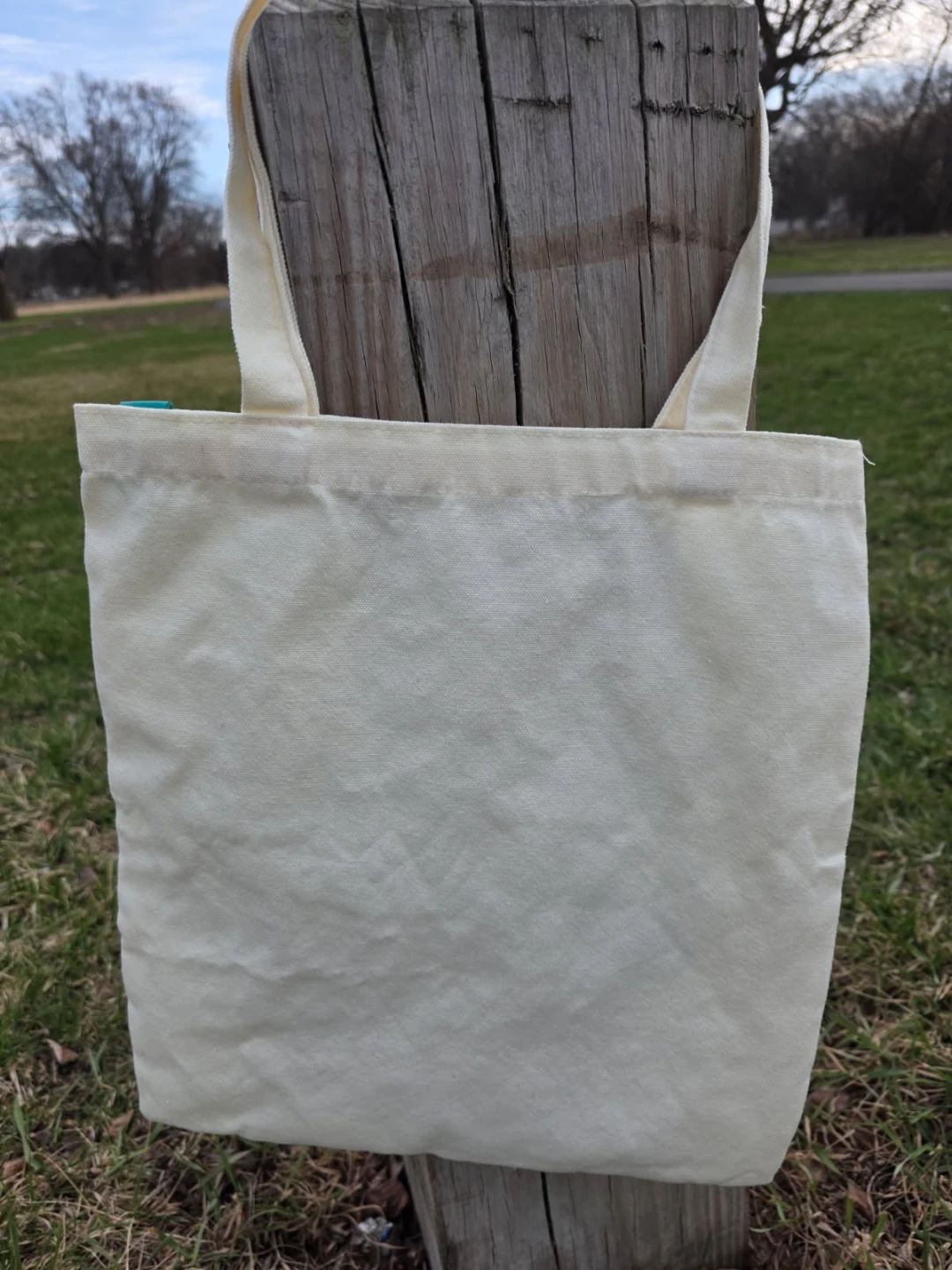 Mooshie Totes Canvas Tote Bag with Mushroom Art - photo 4