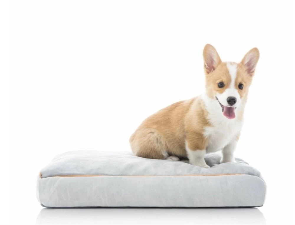 Brindle Shredded Memory Foam Pet Bed