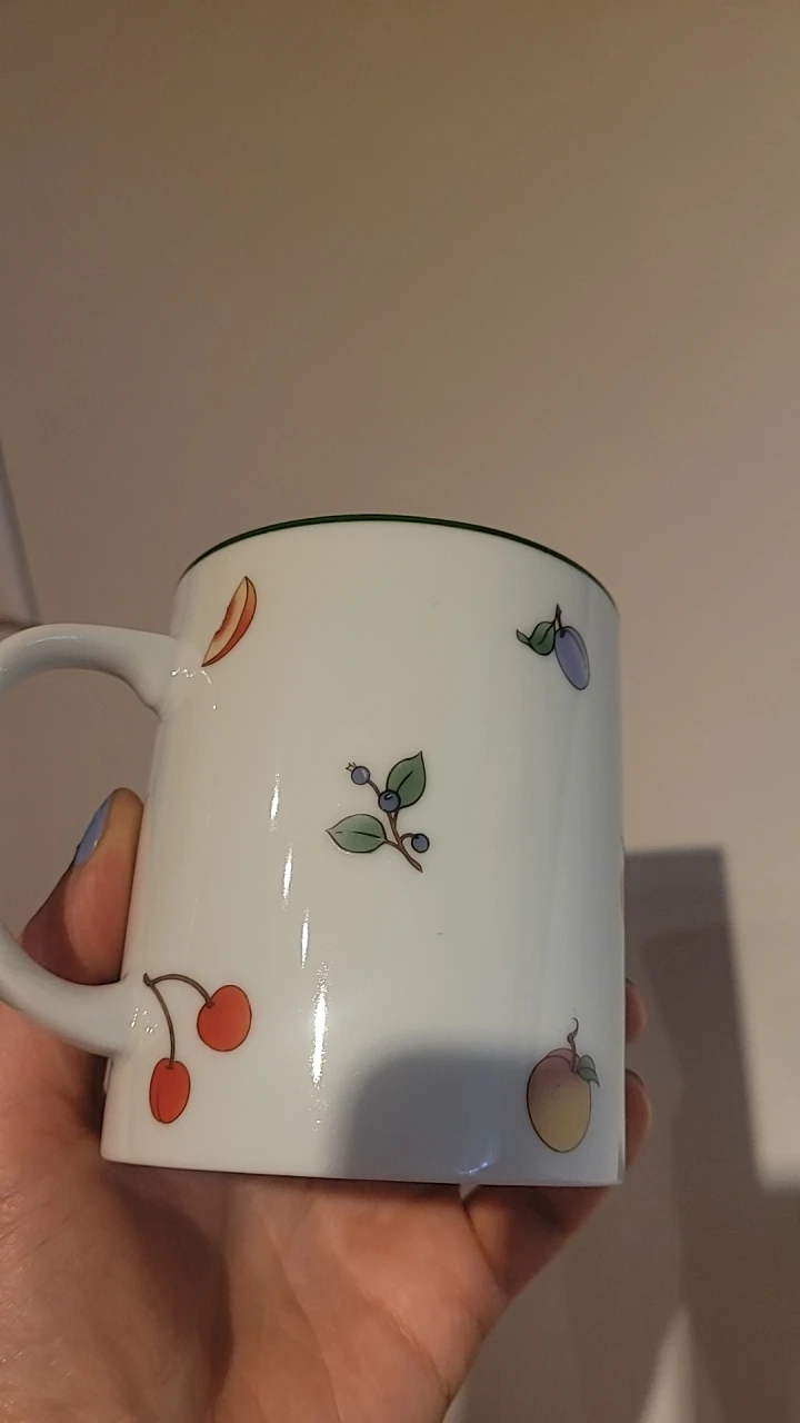 Shafford Ambrosia Fruit Pattern Mug 🧡