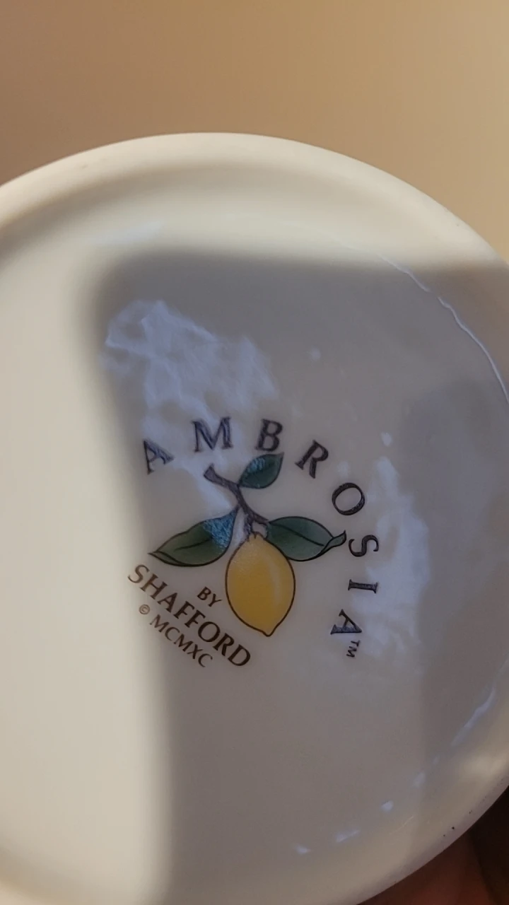 Shafford Ambrosia Fruit Pattern Mug 🧡 - photo 5
