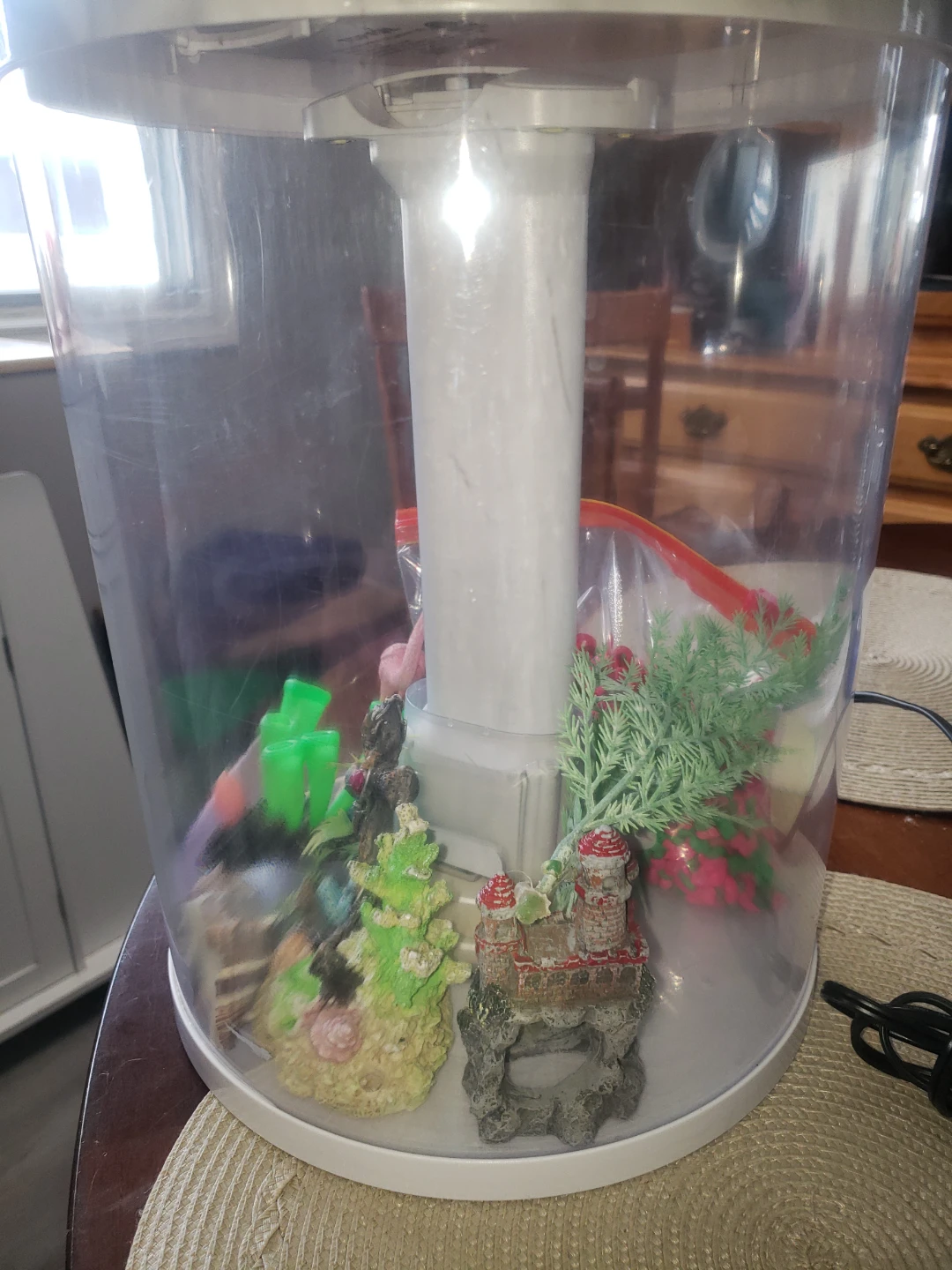3.5 gallon fishtank and accessories