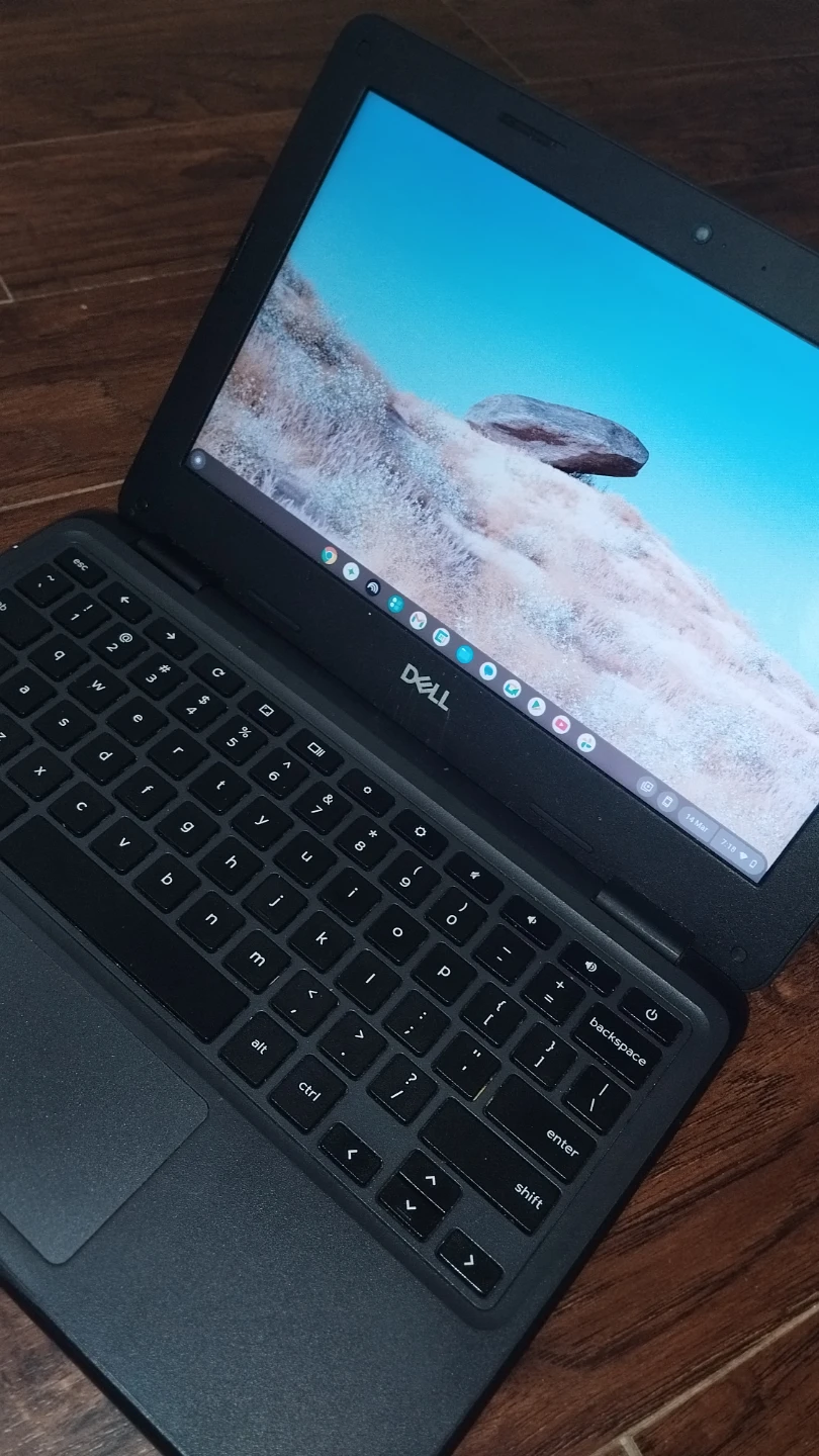 Dell Chromebook 3100 Laptop - photo 5