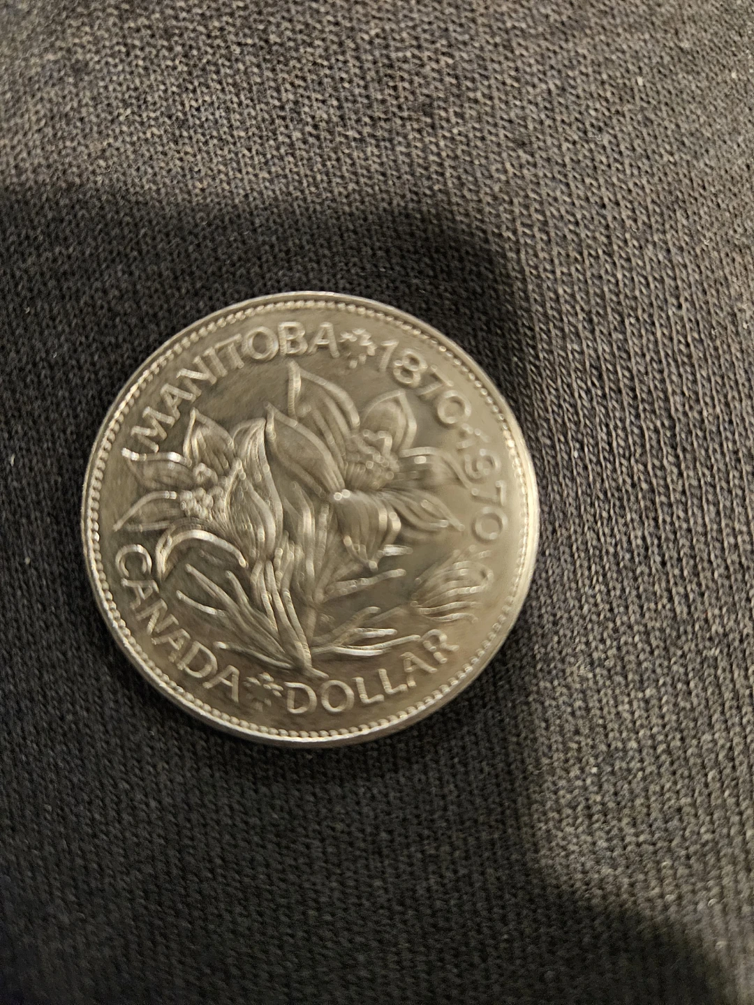15 One dollar Canadian coins. 2 x 50 cent pieces - photo 3