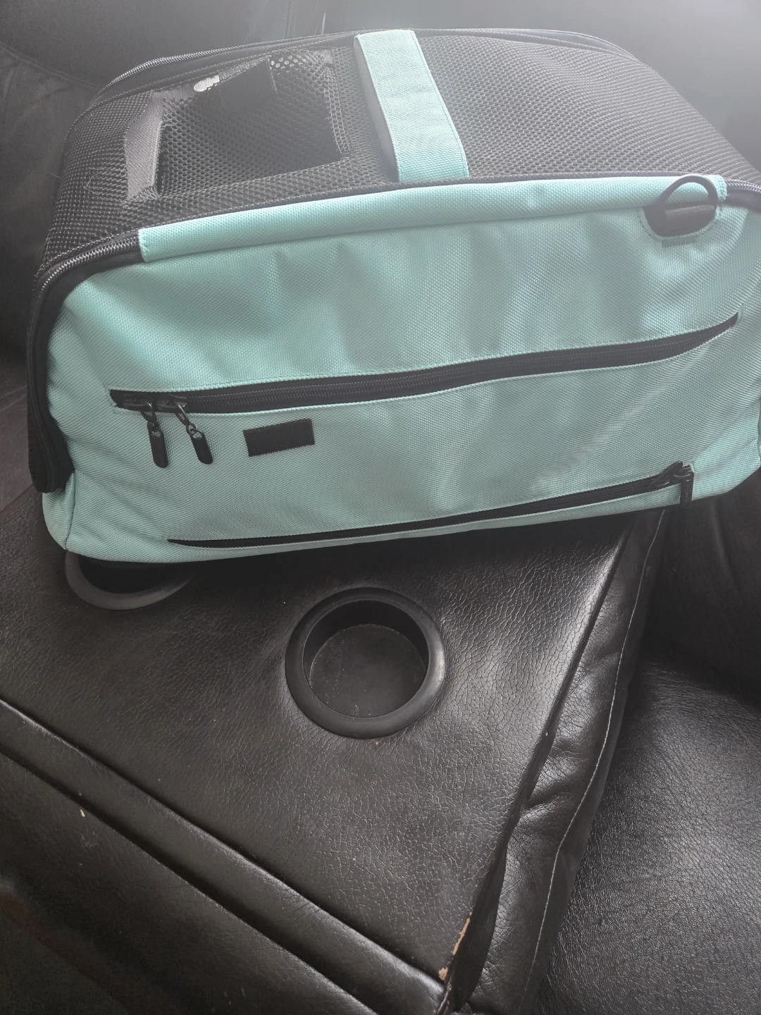 Sleepypod Pet Carrier Bag - Teal - photo 3