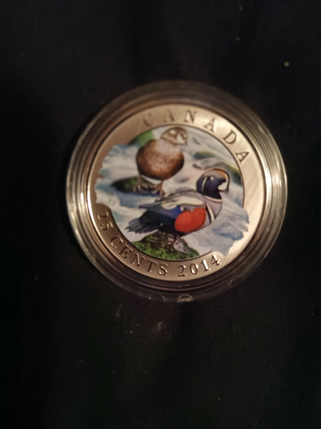 2014 Royal Canadian Mint 25-Cent Coloured Coin - Harlequin Duck