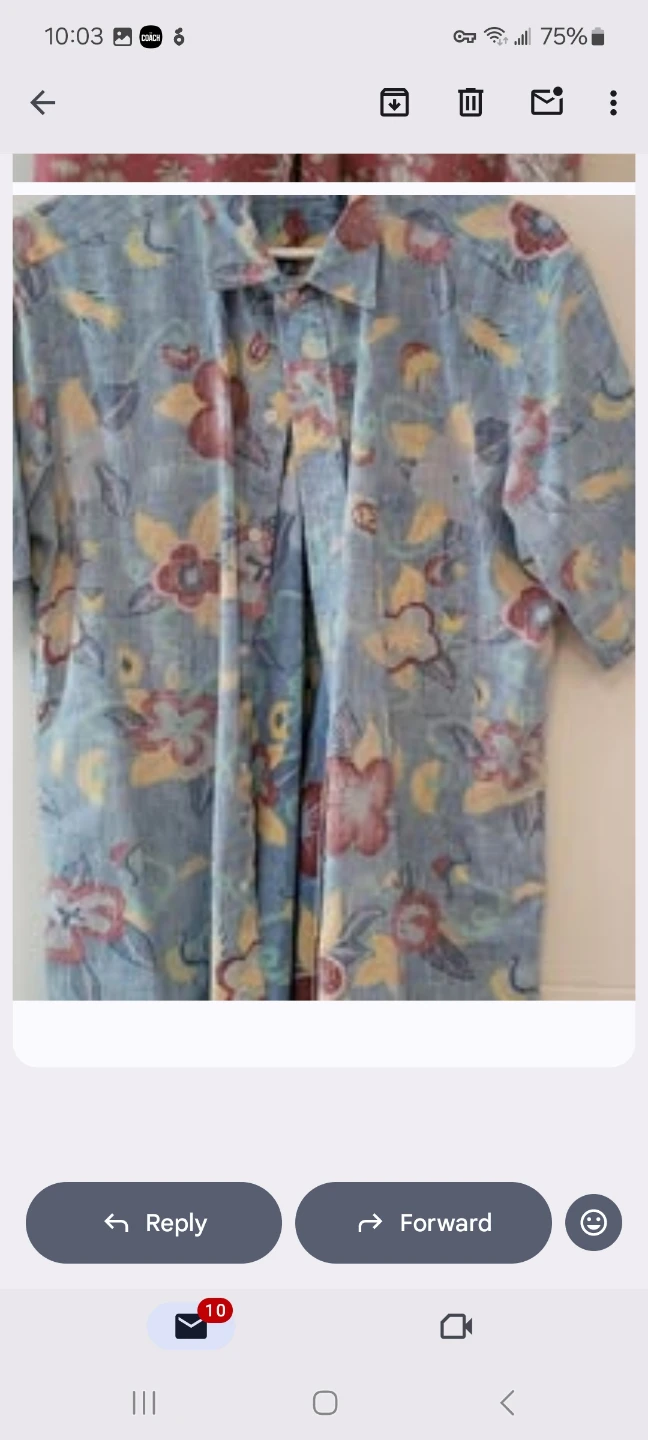 Reyn Spooner Hawaiian Shirts (L, XL) - photo 2