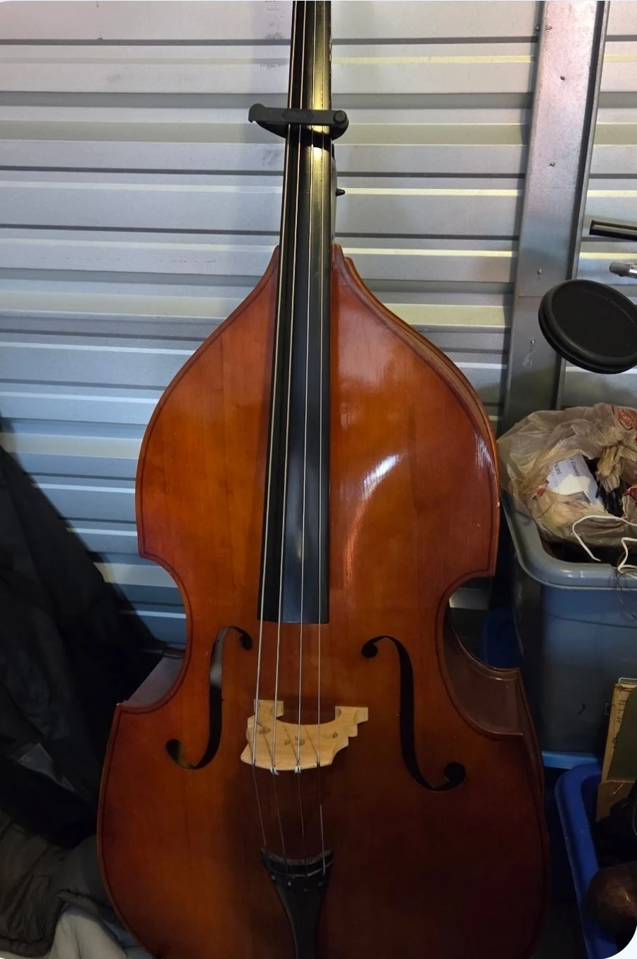 Acoustic Double Bass