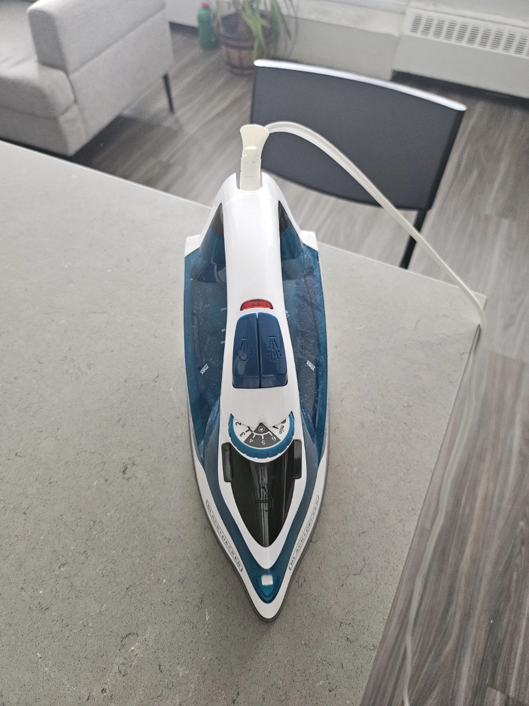Black and Decker Steam Iron