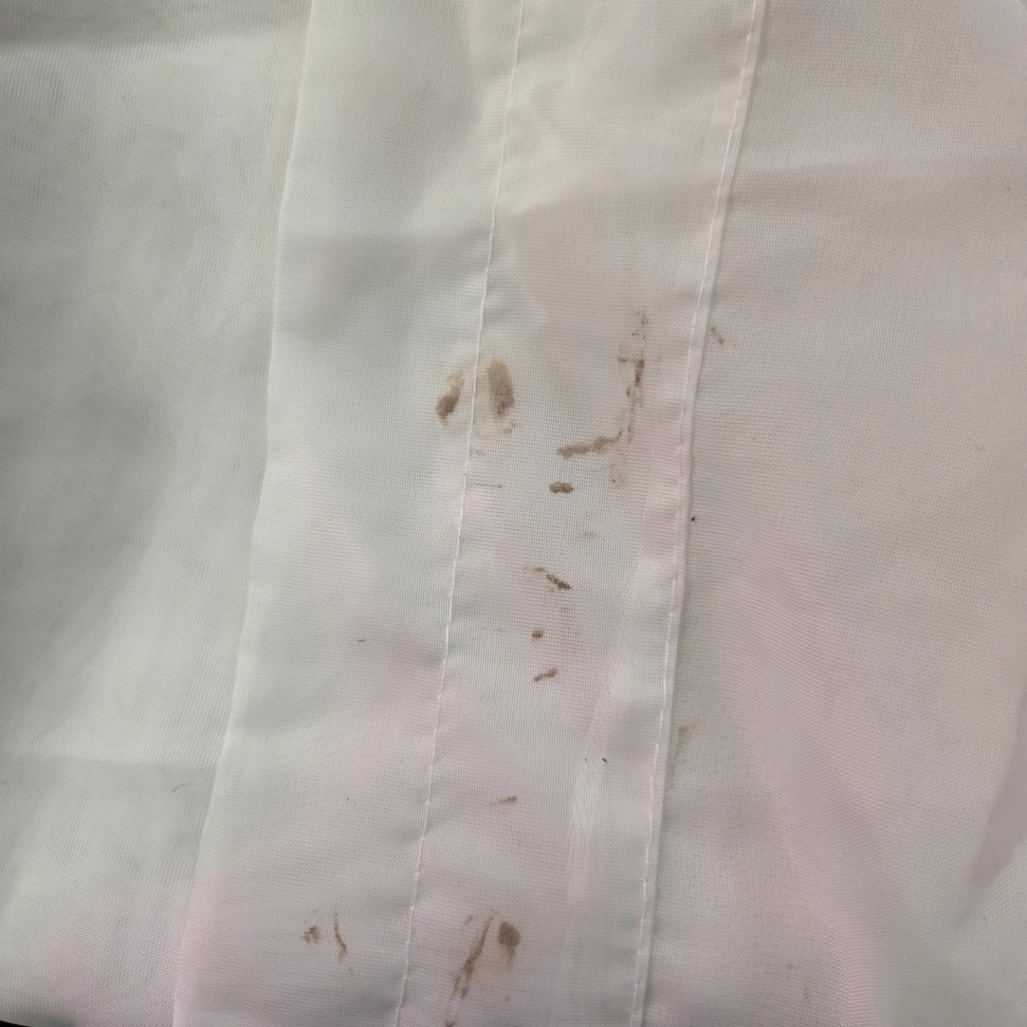 White Sheer Curtains - photo 4