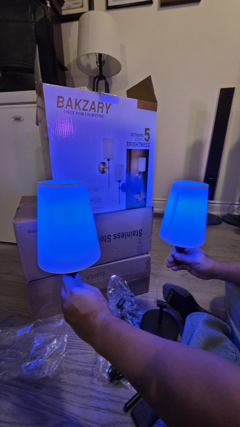 BAKZARY Wall Sconces Series 20G LED Lamps - photo 3