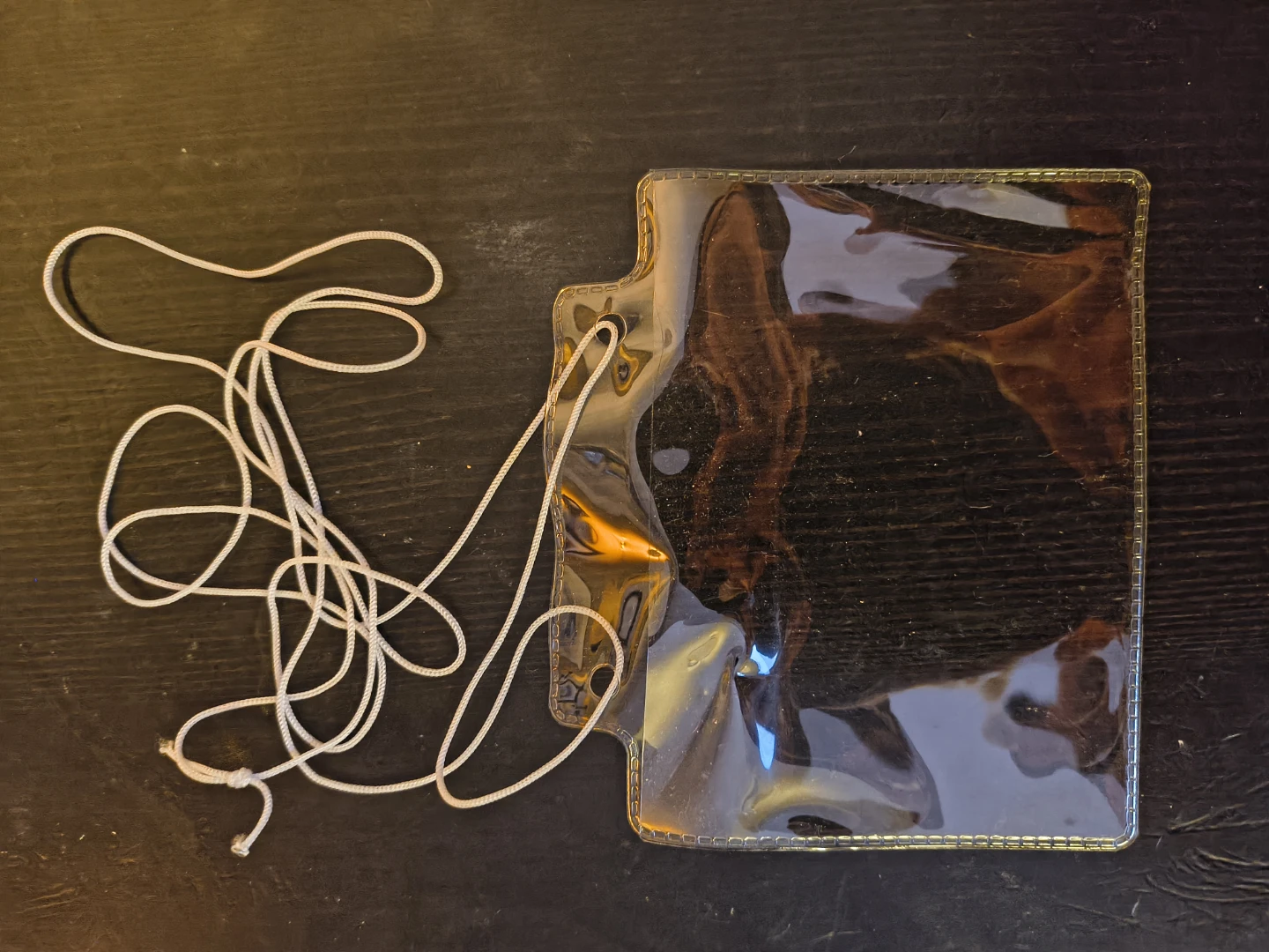 Clear Plastic lanyard