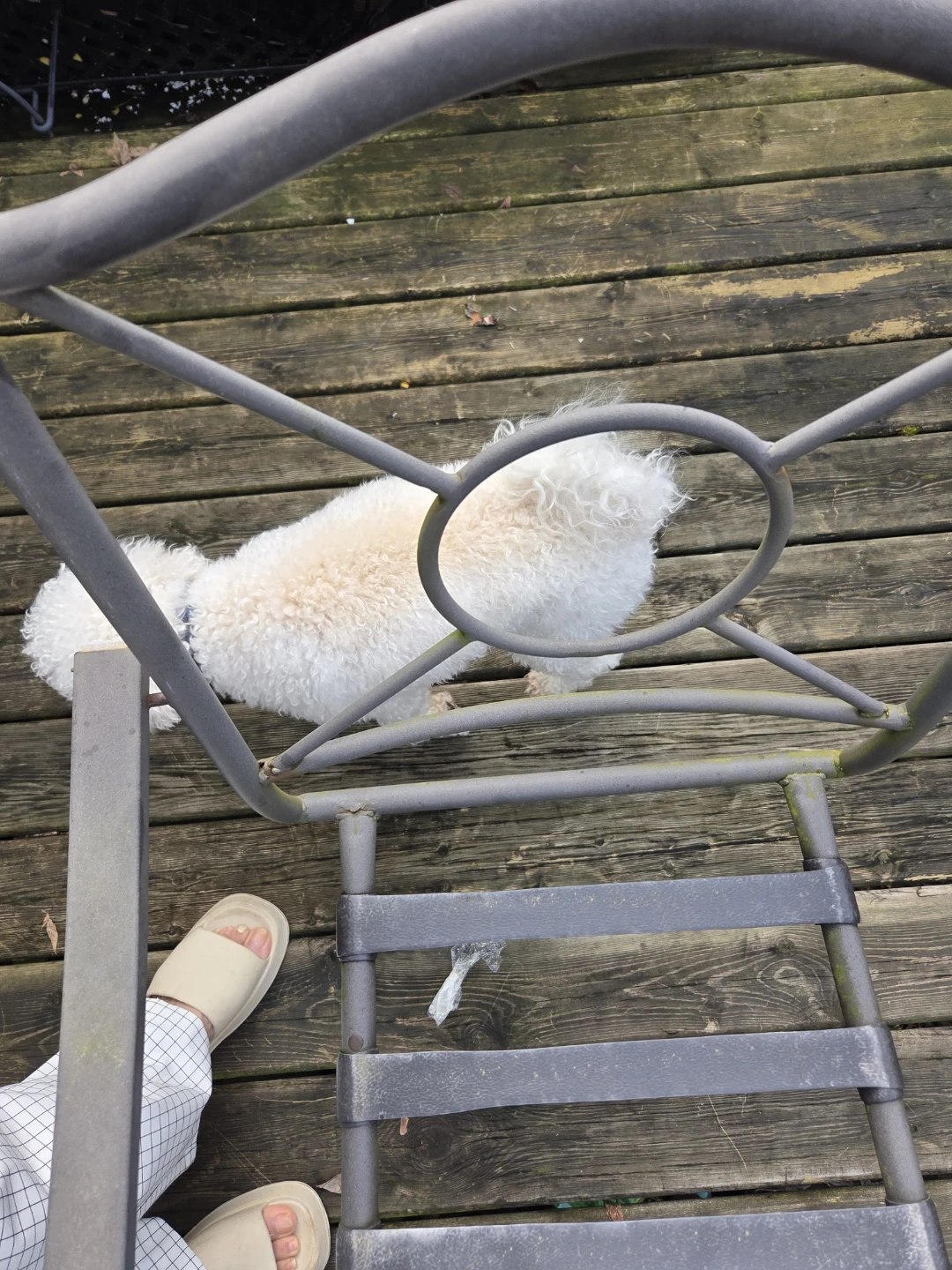Outdoor Metal Patio Chairs (Set of 5 - photo 3
