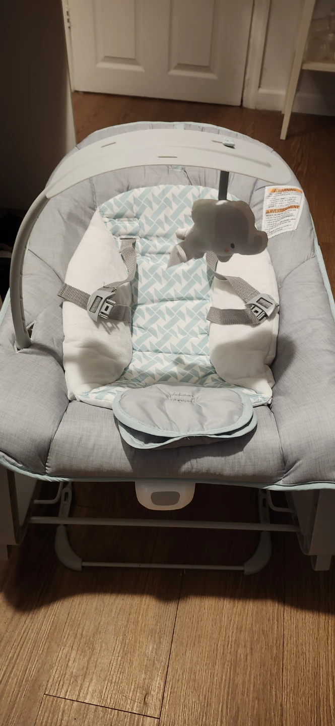 Baby Rocker/Bouncer Seat