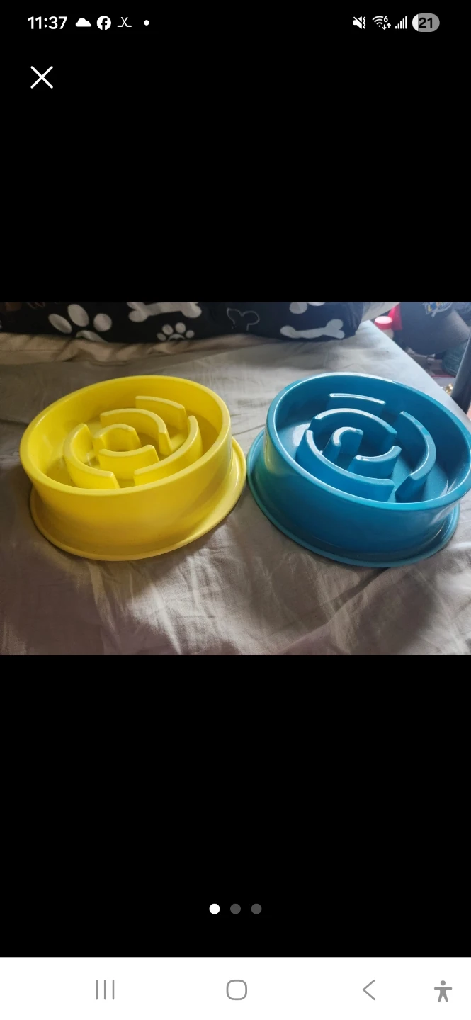 Two Pet Slow Feeder Bowls (Yellow and Blue)