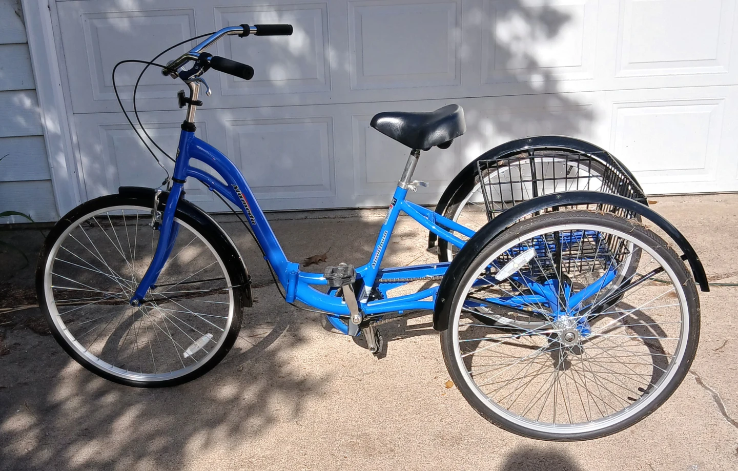 Adult tricycle
