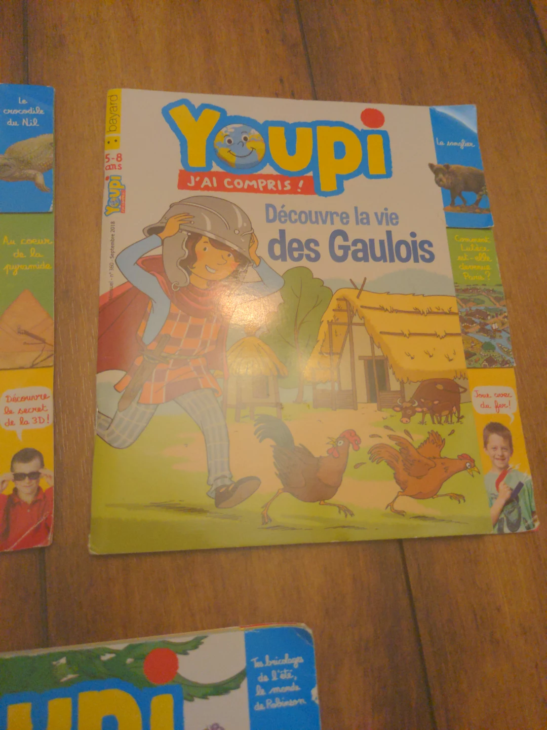 Youpi Magazine Collection (French) - photo 4