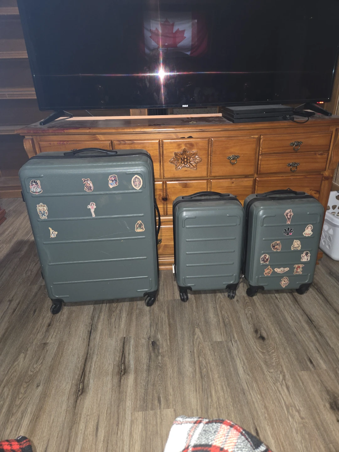 Set of 3 Green Luggage Suitcases