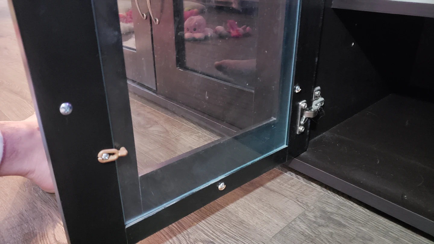 TV Stand with Glass Doors - photo 3
