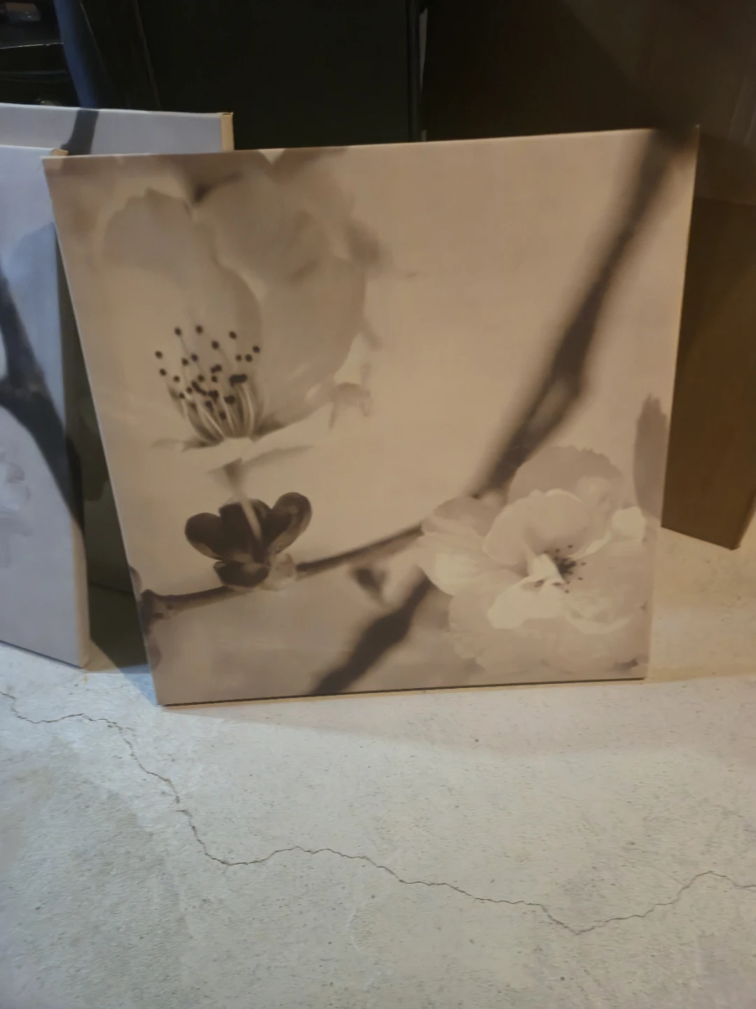 6 pieces of Floral Wall Art Set – Neutral Tones FOR SALE