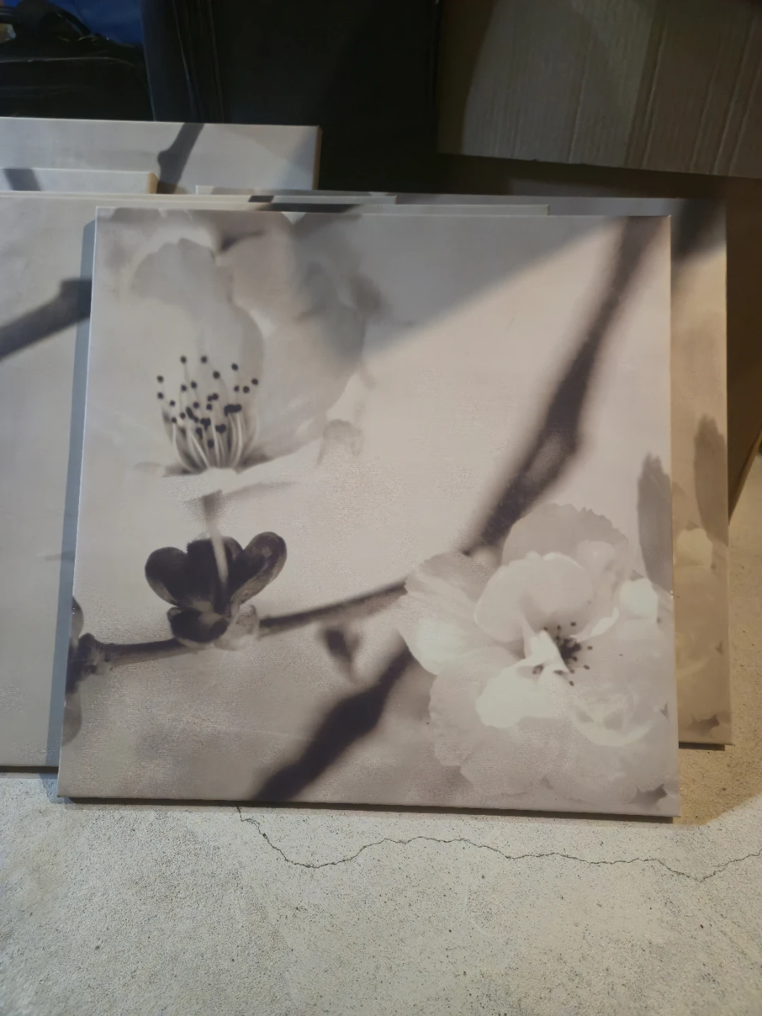 6 pieces of Floral Wall Art Set – Neutral Tones FOR SALE - photo 3