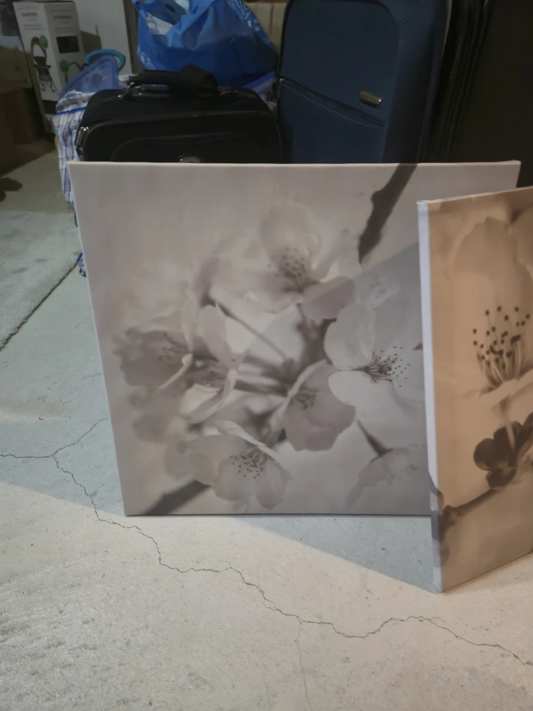 6 pieces of Floral Wall Art Set – Neutral Tones FOR SALE - photo 4