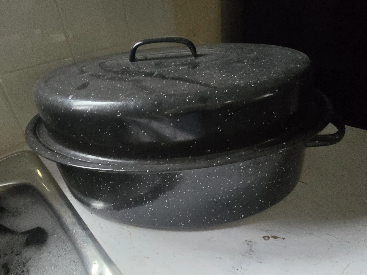 Granite Roasting Pan with Lid