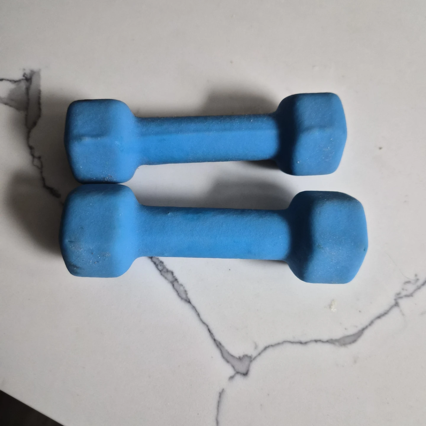 Blue 2lb Dumbbells (Pair)