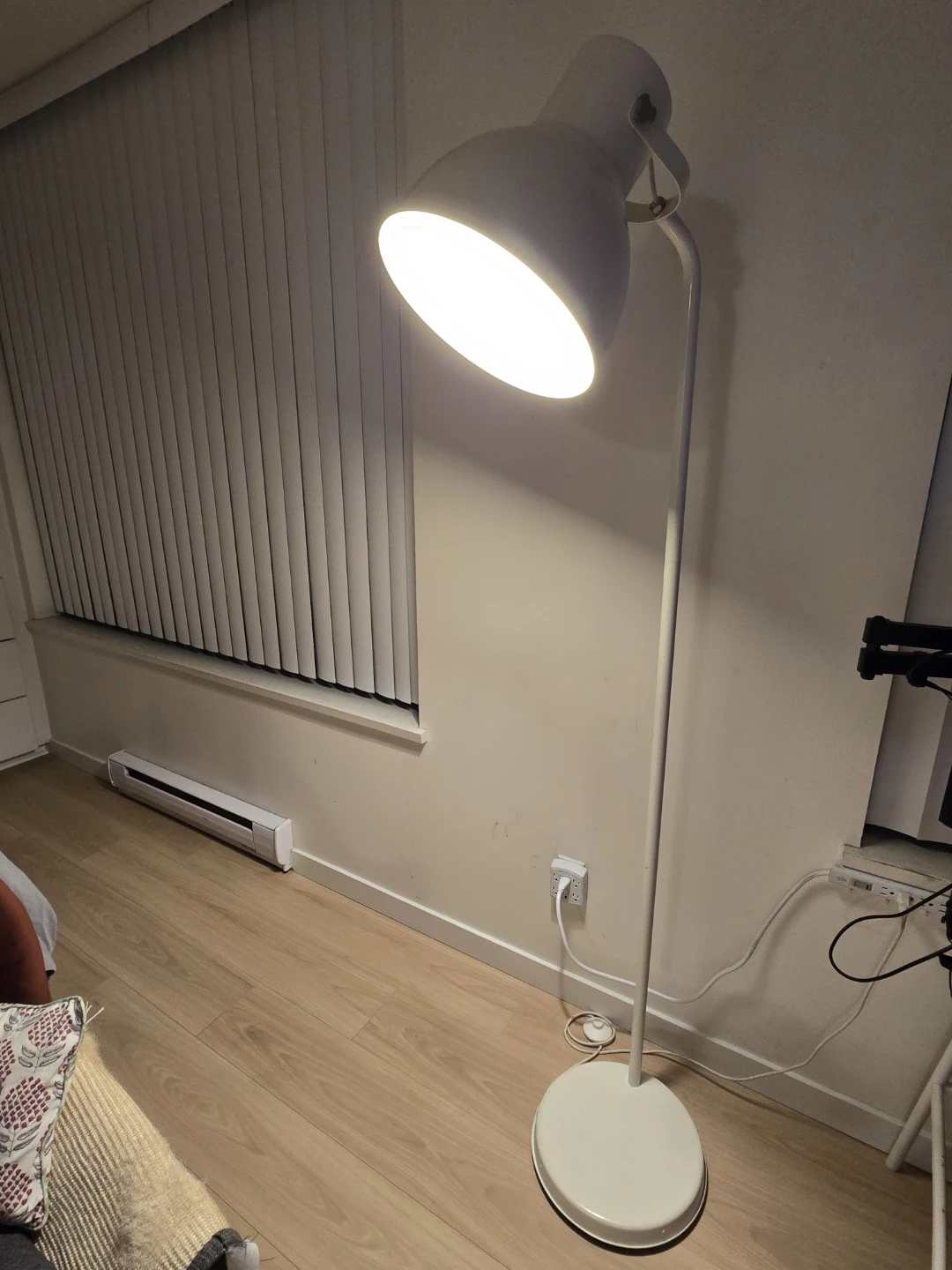 Floor Lamp with Adjustable Neck