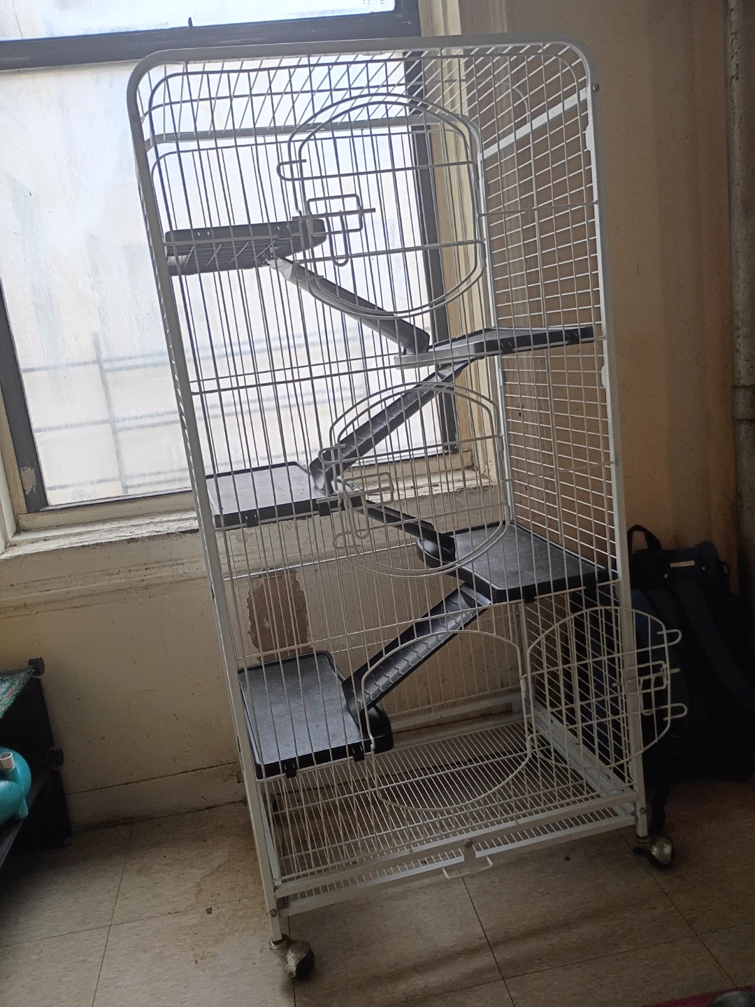 Bird cage