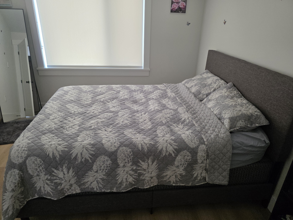 Queen mattress with Box Spring - photo 3