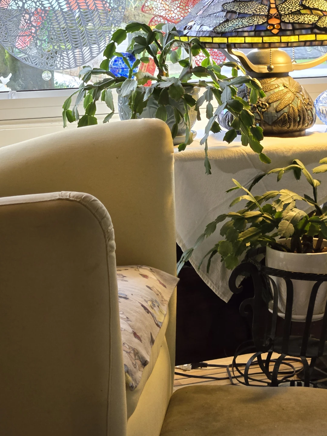 Large Christmas Cactus $15 ea. - photo 2