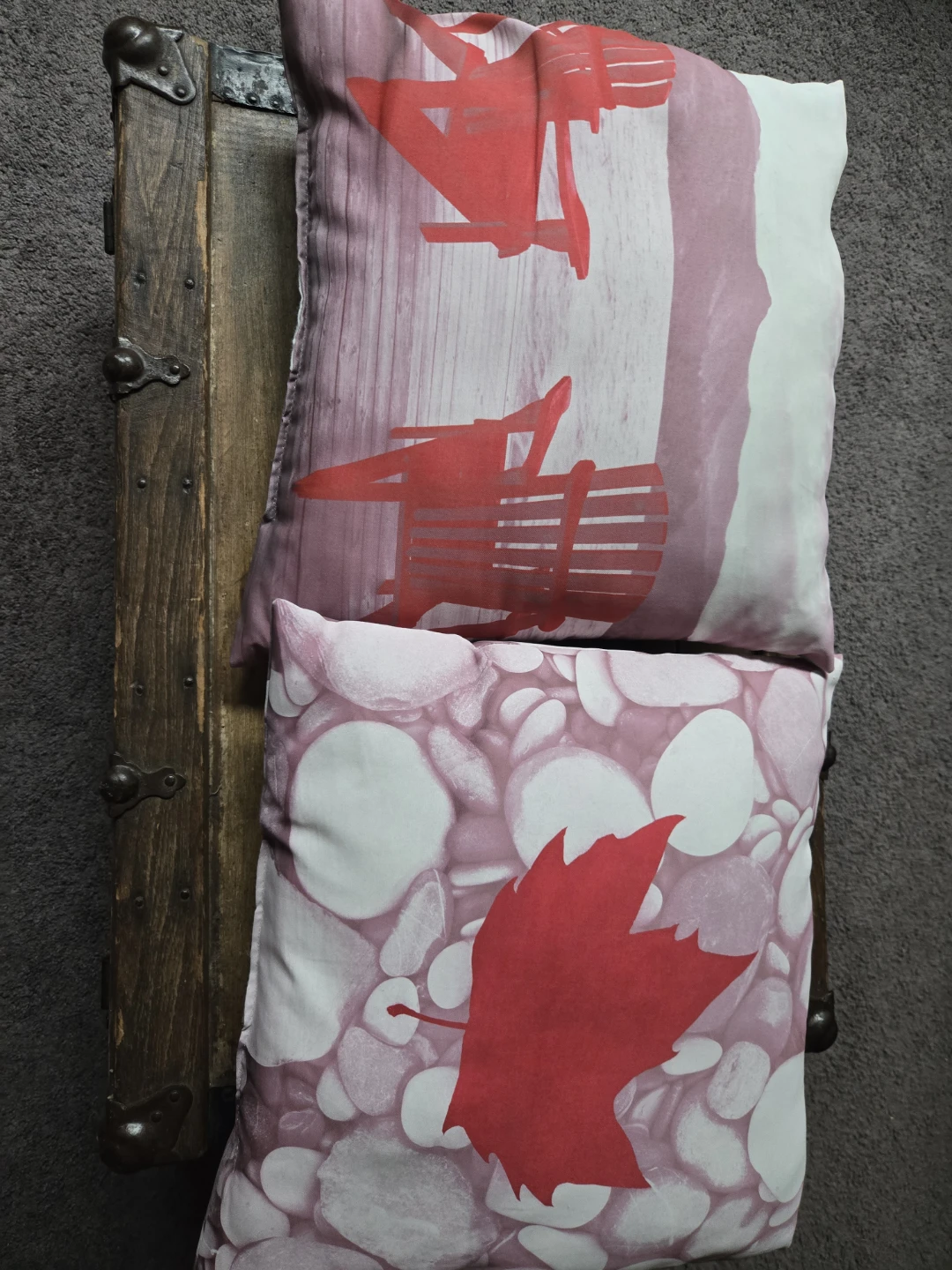 Outdoor pillows 🥕