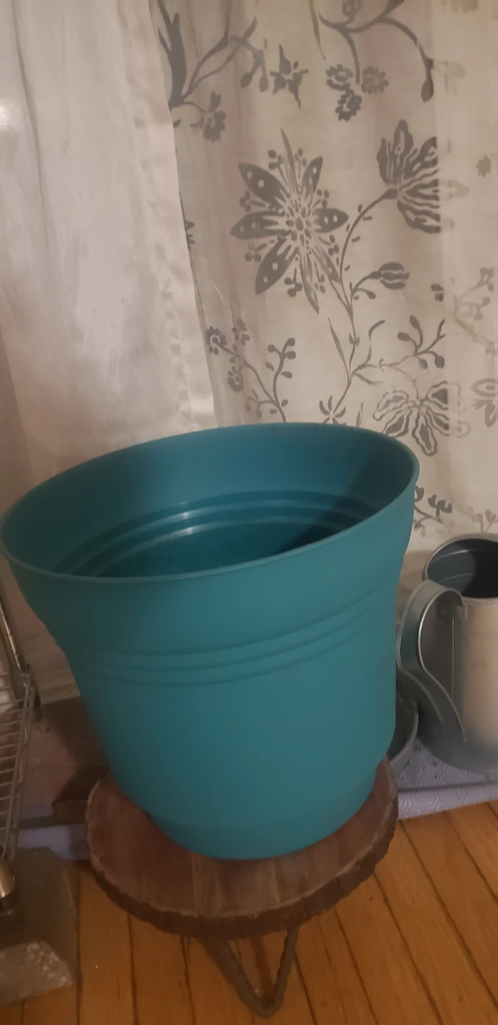 Bundle of 5 Flower Pots! Each $10!  I have twenty of them!