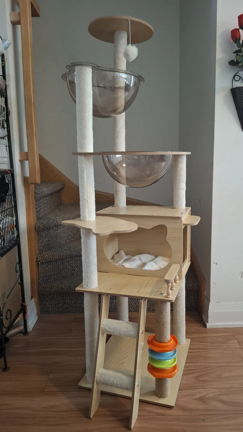 Wooden Cat Tree Condo with bubble pod, toys