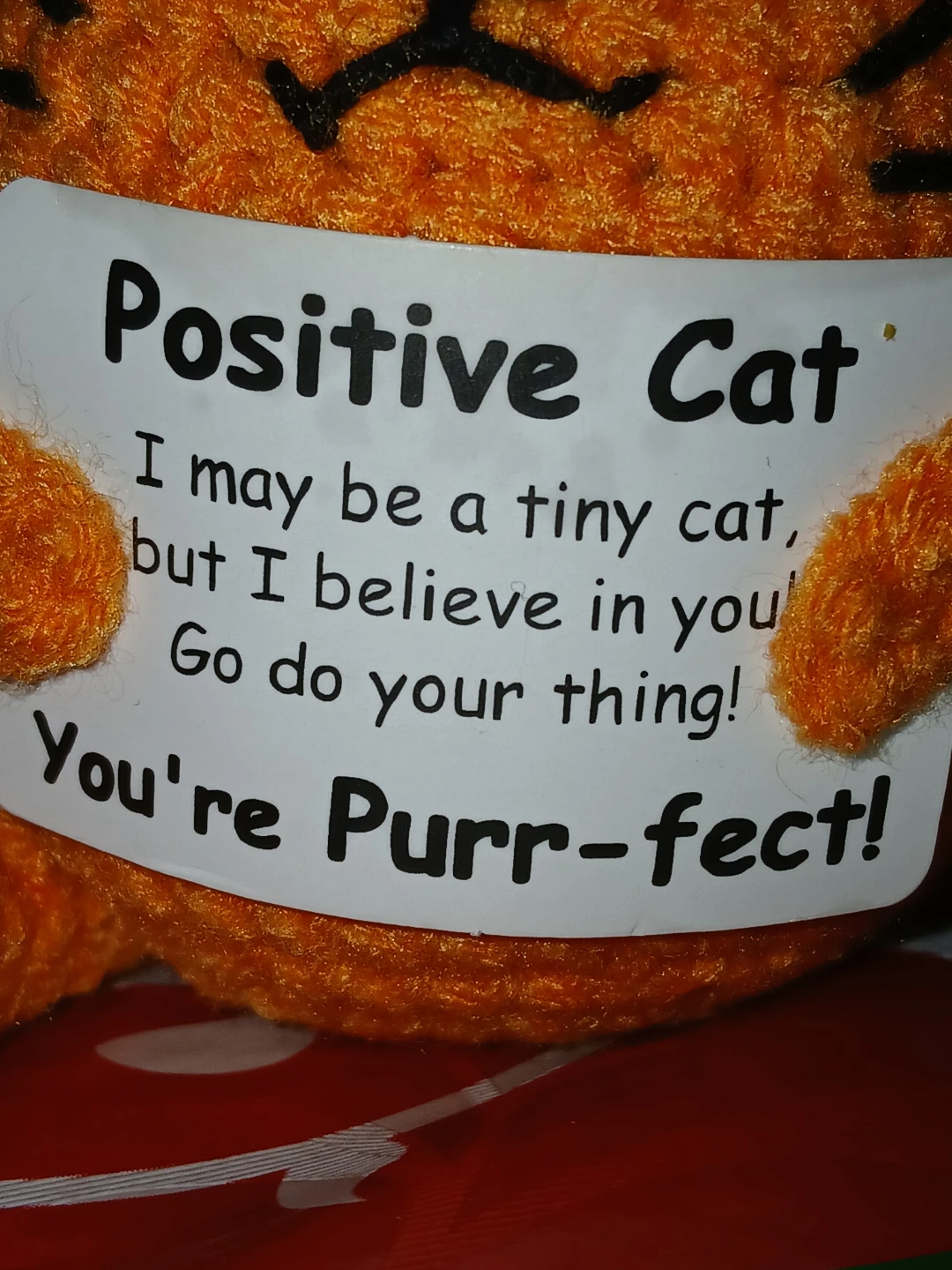 Crocheted Orange "Positive Cat" Figurine - photo 3