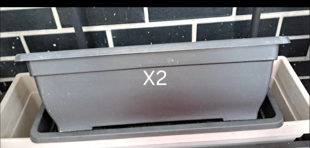 5 Planter/Window Boxes 🥕 - photo 4