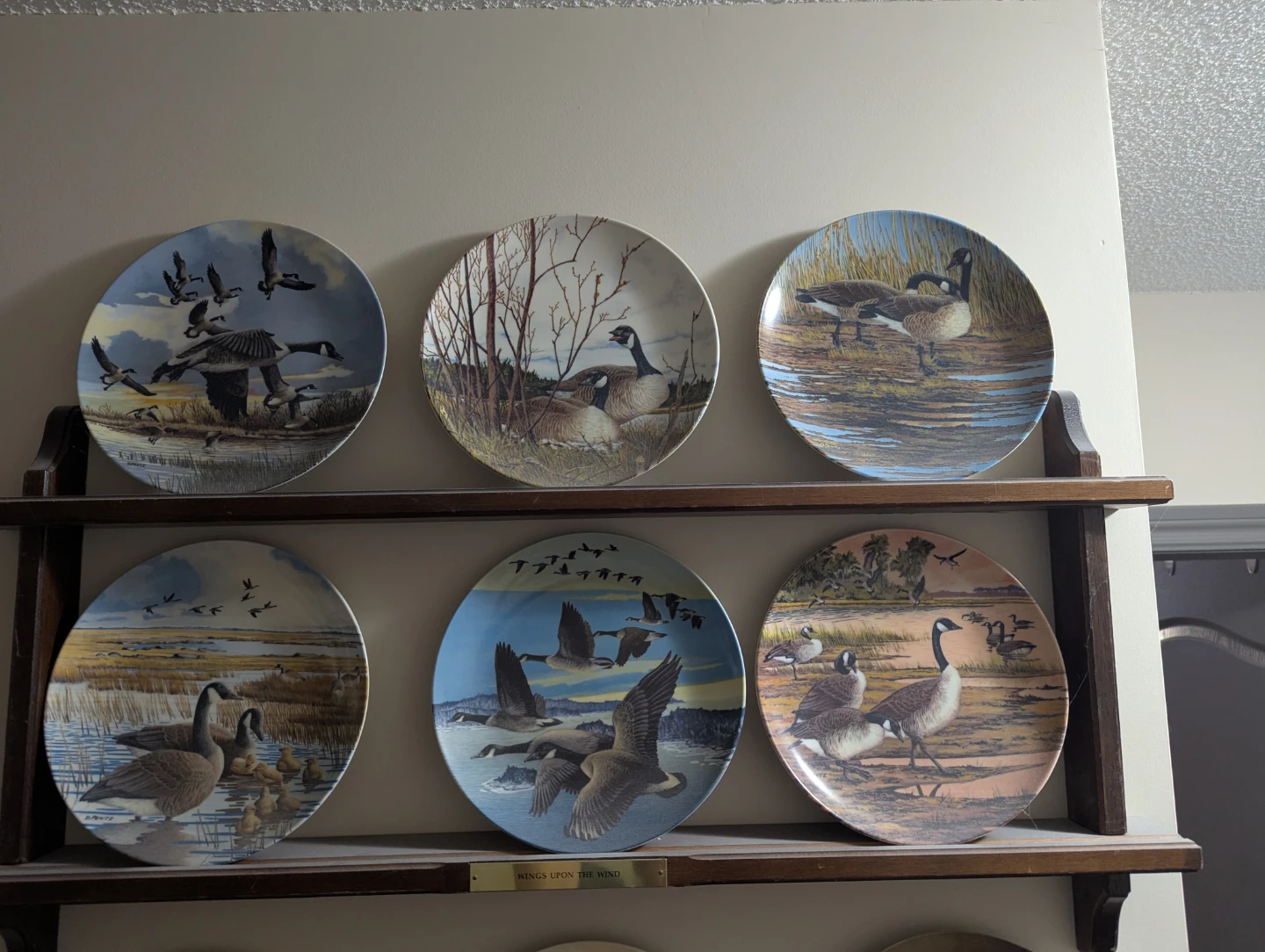 Collection of 6 Decorative Plates with Goose and Duck Scenes - photo 2