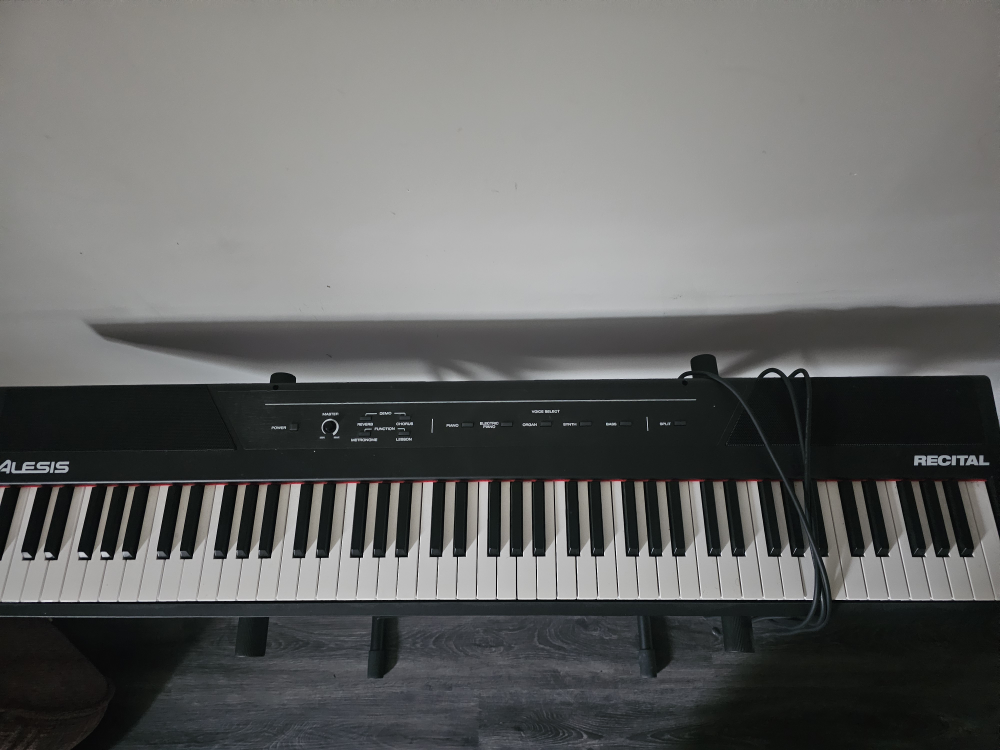 Alesis Recital Digital Piano