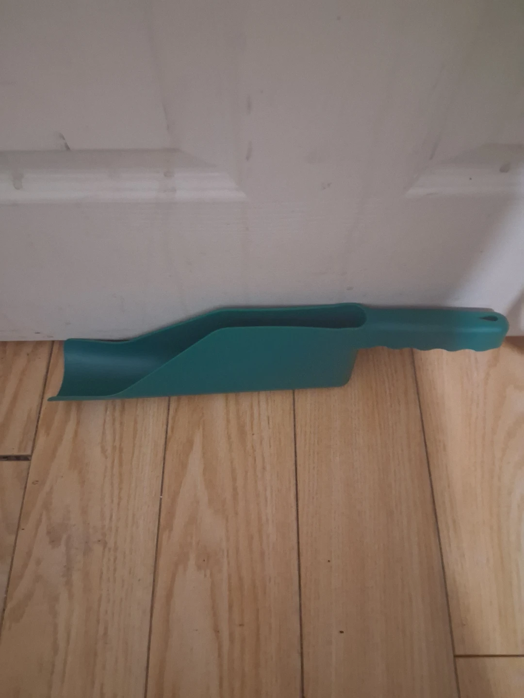 Teal Plastic Scoop