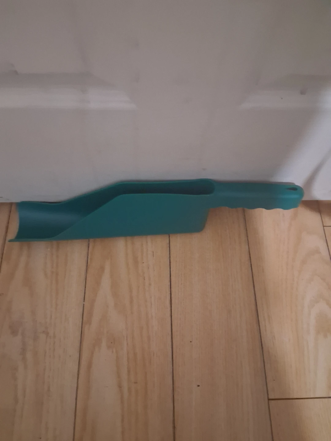 Teal Plastic Scoop - photo 4