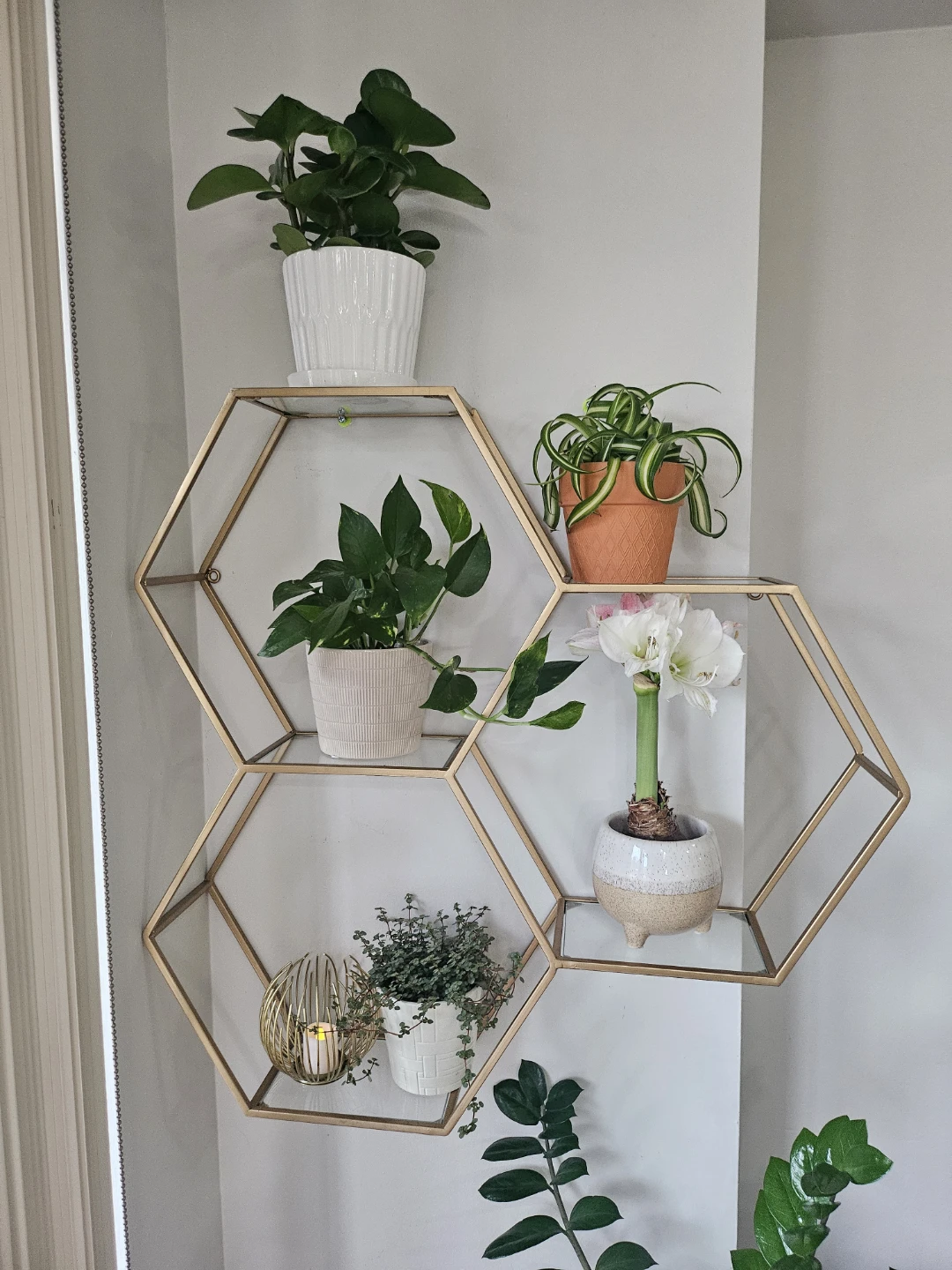 Hexagon Wall Shelf